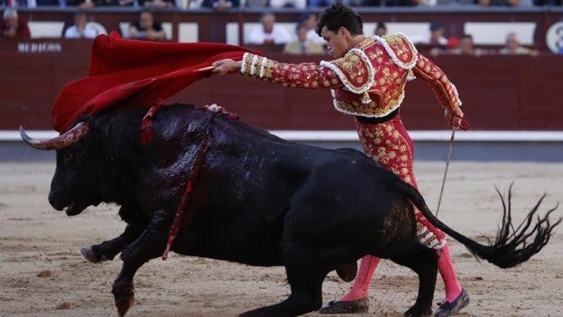 Luque, importante lidiador