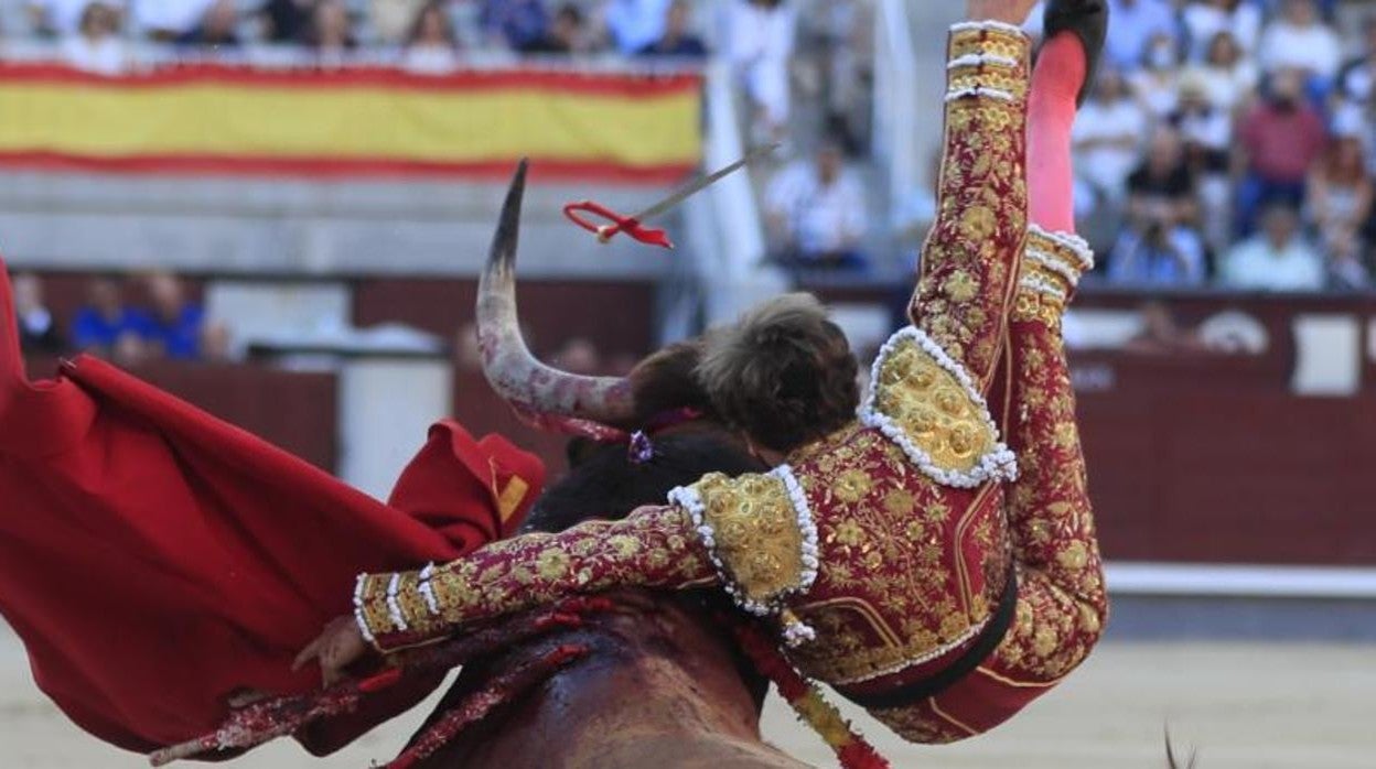 Román, por bernadinas