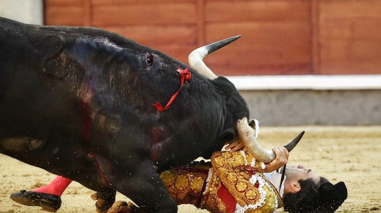 Tomás Rufo intenta zafarse de los pitones de Malvarrrosa