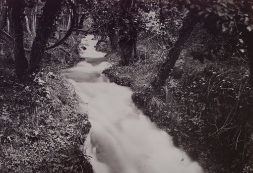 'Vista del torrente llamado de los Mirlos, en el Monasterio de Piedra'. Laurent y Cía., junio de 1877 (AGP)
