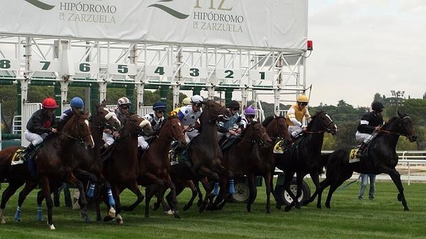 Octava reunión en el Hipódromo de la Zarzuela