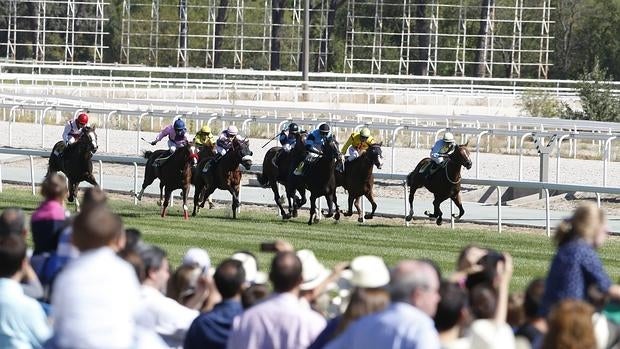 Emocionante carrera en el Hipódromo de la Zarzuela