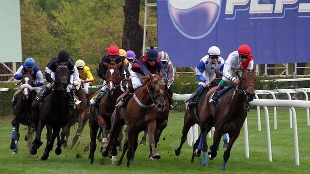 Otra jornada emocionante de carreras, este domingo en el Hipódromo de la Zarzuela