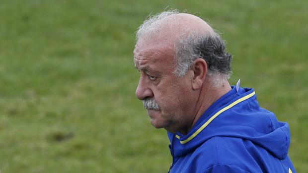 Del Bosque, en un entrenamiento con España