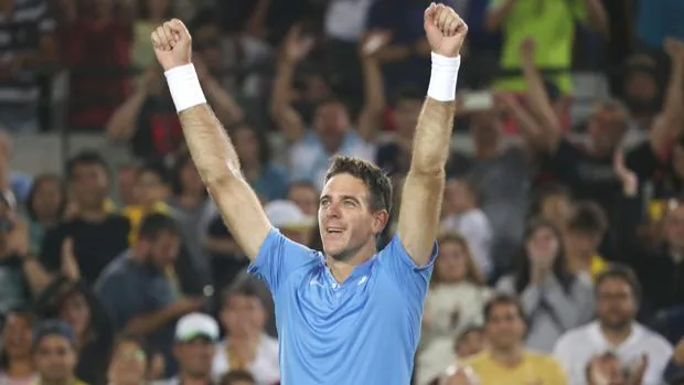 El tenista argentino Juan Martín del Potro tras su victoría sobre Djokovic