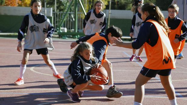 Fechas y horarios del torneo escolar «3x3 ACB Next»