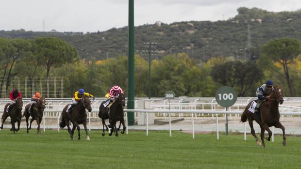 Sigue en directo la jornada en el Hipódromo de La Zarzuela