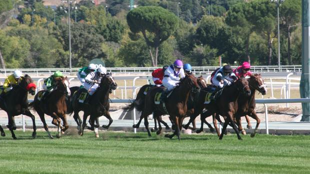 «Wild King» y Sancho», favoritos en el Gran Premio Villapadierna «Derby Español»