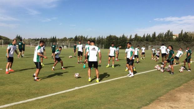 El Betis confirma que se concentrará en Montecastillo a partir del 8 de julio