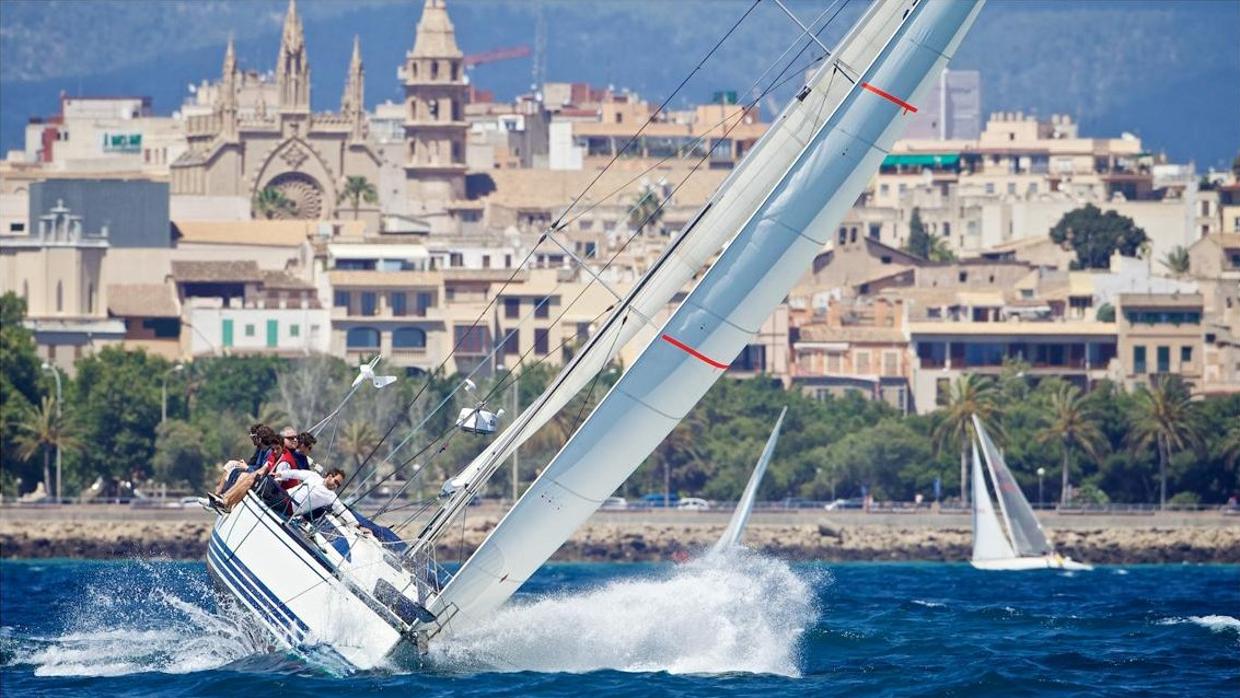 La Regata de las Fuerzas Armadas, en Palma