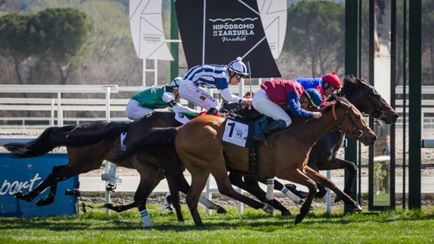 Carreras de caballos en el Hipódromo de la Zarzuela