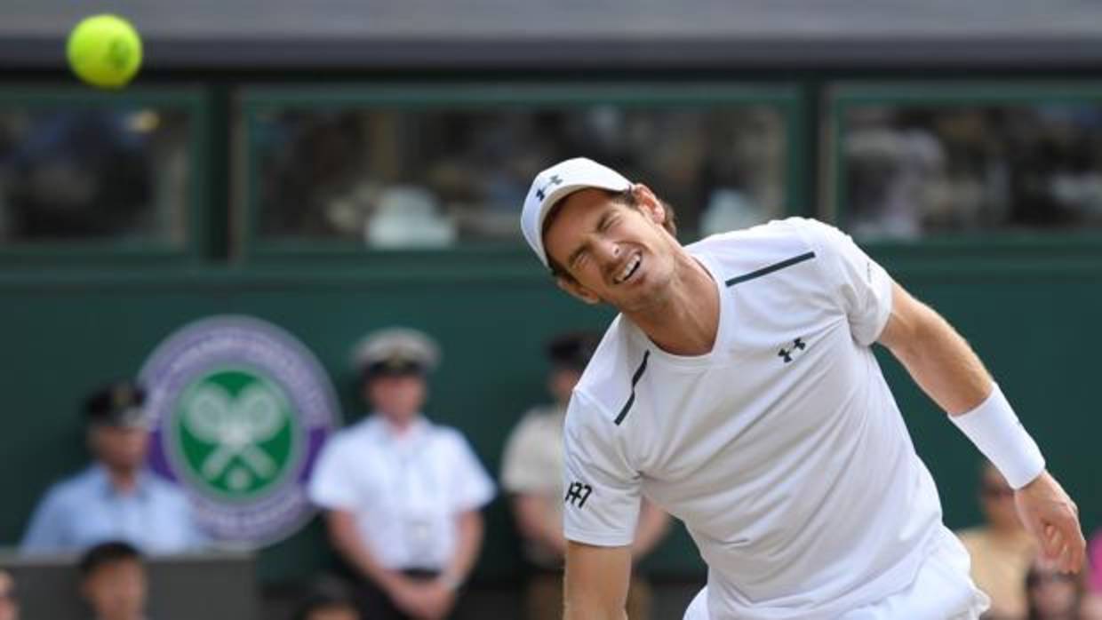 Andy Murray se lamenta en un punto contra Querrey