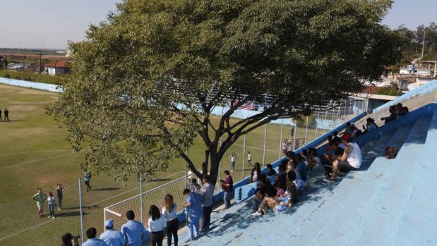 El Resistencia, club paraguayo, convierte en socio del equipo a un árbol