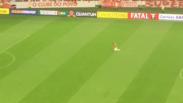 La conmovedora imagen de Alemao, jugador del Internacional, al regresar de una lesión