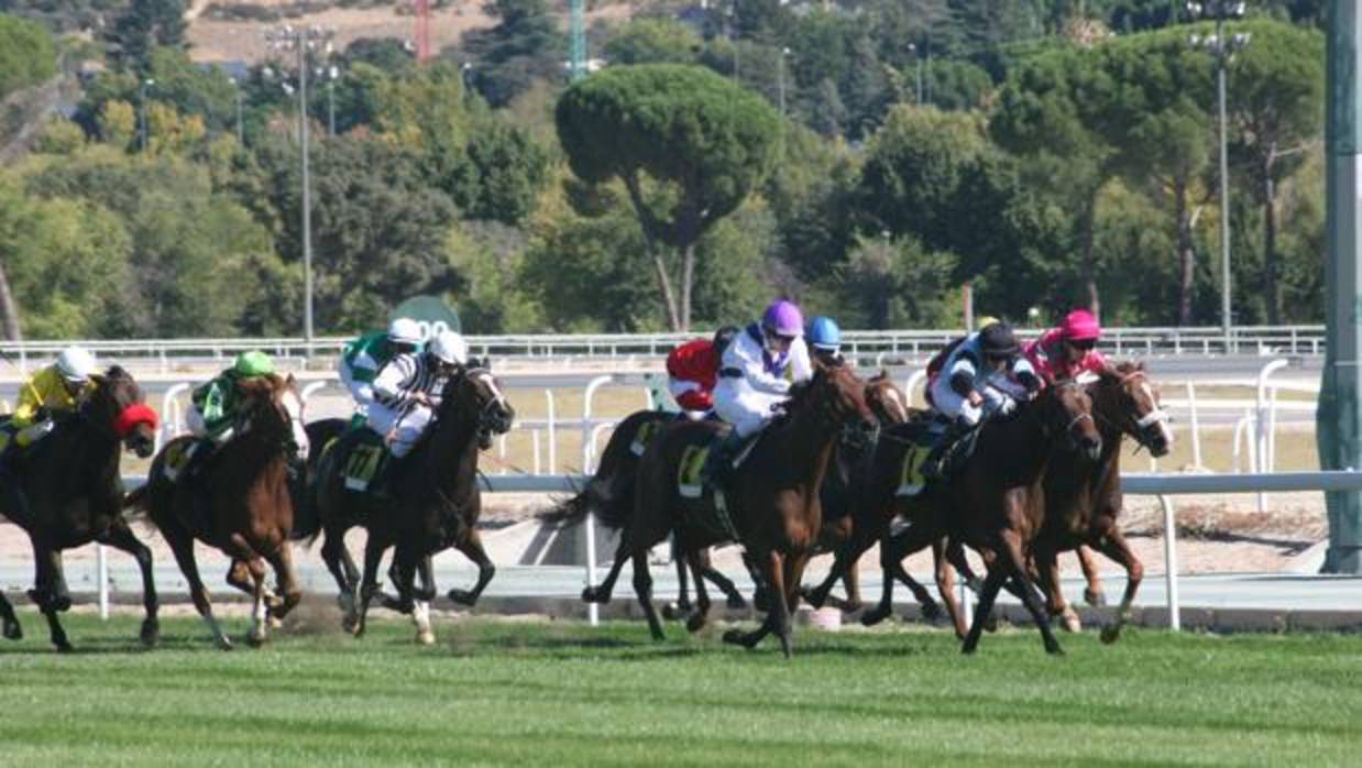 Carreras de caballos en el Hipódromo de la Zarzuela