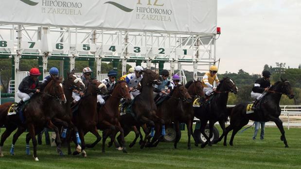 Sigue en directo la jornada en el Hipódromo de la Zarzuela