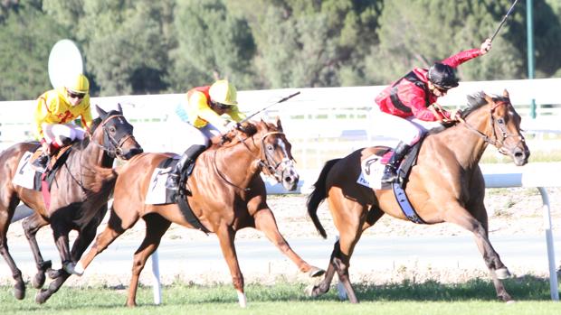 «Día de los campeones» en el Hipódromo de la Zarzuela