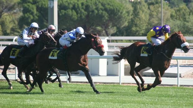 Sigue en directo la jornada en el Hipódromo de La Zarzuela