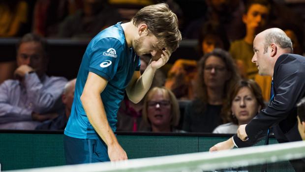 El pelotazo de Goffin sobre su propia cara que le elimina de Rotterdam