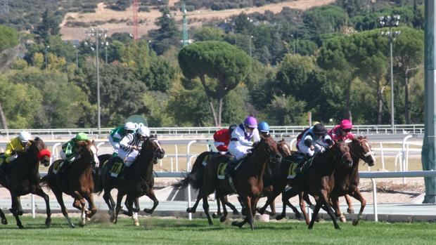 Los protagonistas de este año en el Hipódromo de la Zarzuela