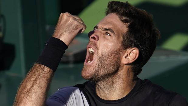 Del Potro reta a Federer