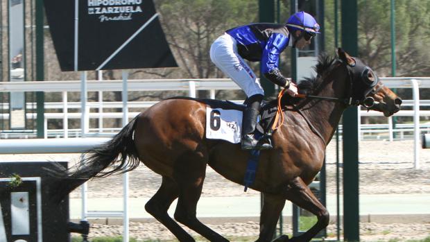 Shaya, brillante ganadora del premio Atlántida