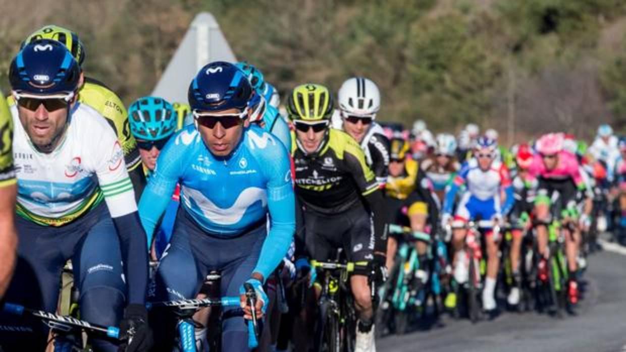 Alejando Valverde y Nairo Quintana durante la tercera etapa celebrada el pasado miércoles