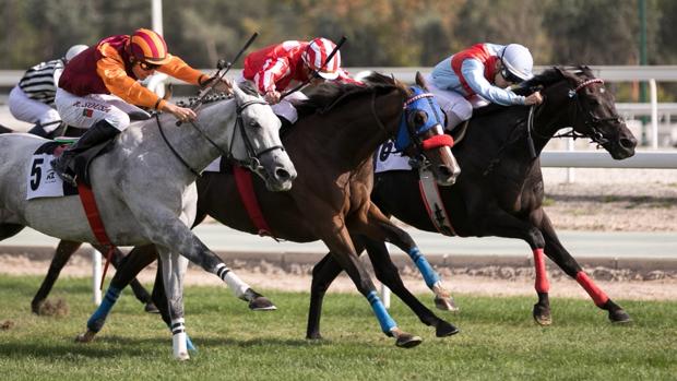 Sigue en directo la jornada en el Hipódromo de La Zarzuela