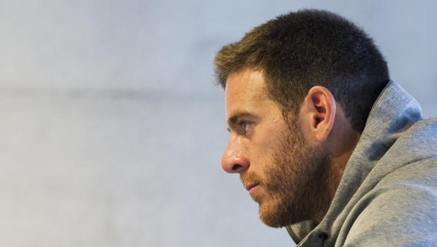 Del Potro: «Antes lloraba de dolor, ahora lloro de alegría»