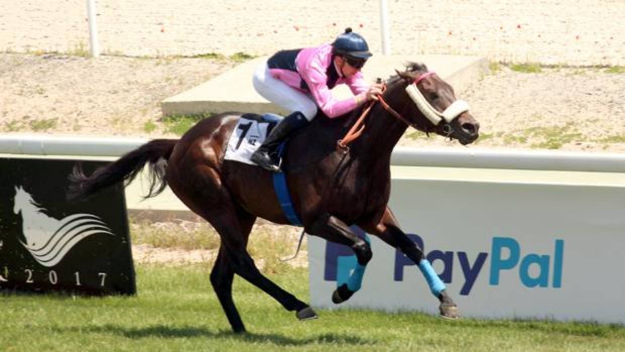 Cretino, ganador en el Premio Velayos