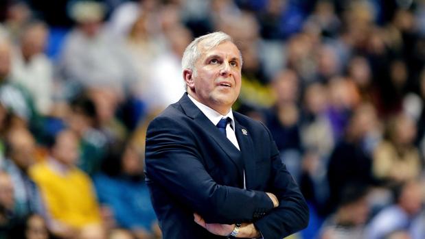 La «cantera» de Obradovic luce en los banquillos de la Final Four