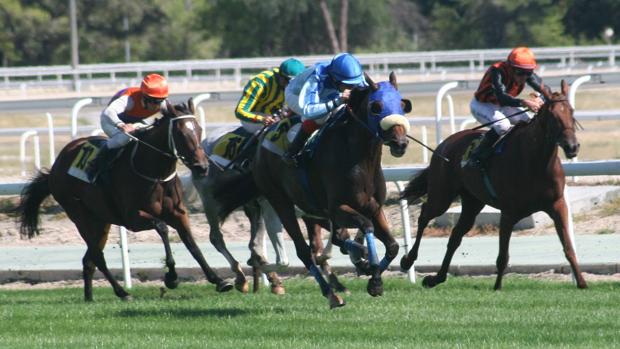 Sigue en directo la jornada en el Hipódromo de La Zarzuela