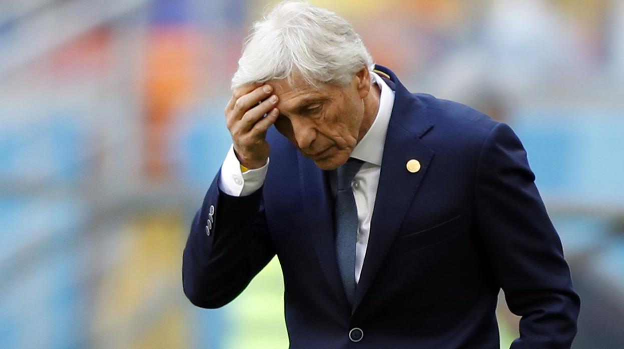 Pekerman, durante el encuentro contra Japón