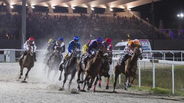 Sigue en directo las carreras nocturnas en el Hipódromo de la Zarzuela