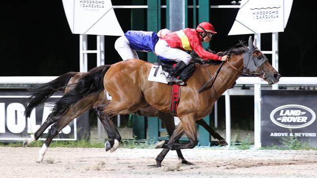 «Las noches del Hipódromo», el planazo de los jueves