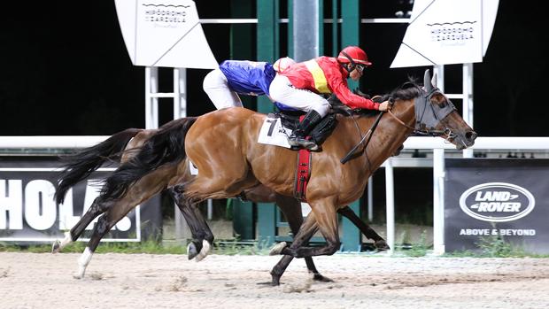 Sigue en directo las carreras nocturnas en el Hipódromo de la Zarzuela