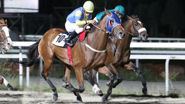 Otra noche de planazo en el Hipódromo de La Zarzuela