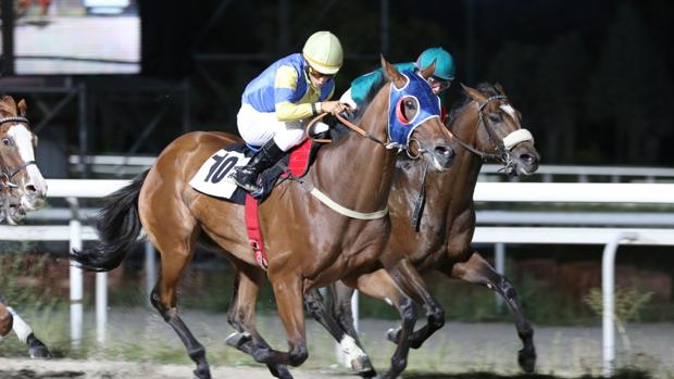 Sigue en directo las carreras nocturnas en el Hipódromo de la Zarzuela