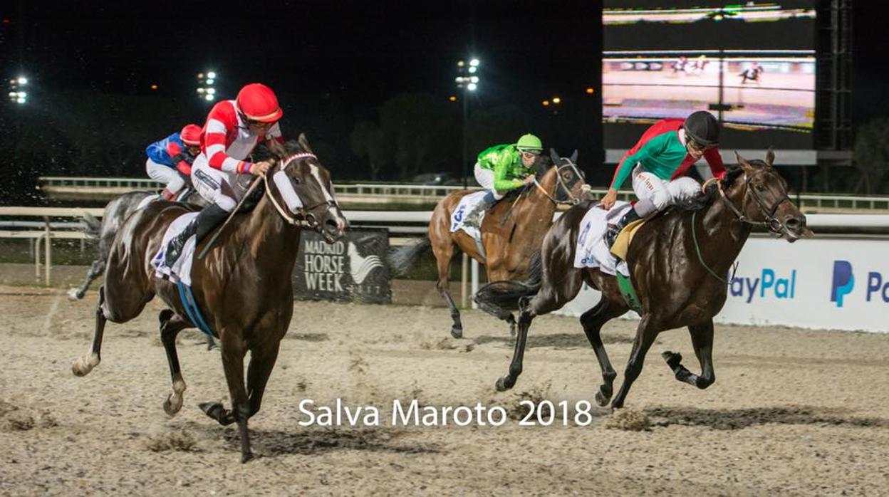 Una de las carreras de caballos ofrecidas por el hipódromo de la Zarzuela