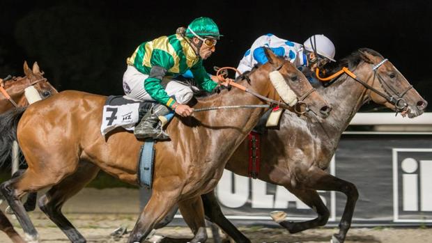 Sigue en directo las carreras nocturnas en el Hipódromo de la Zarzuela