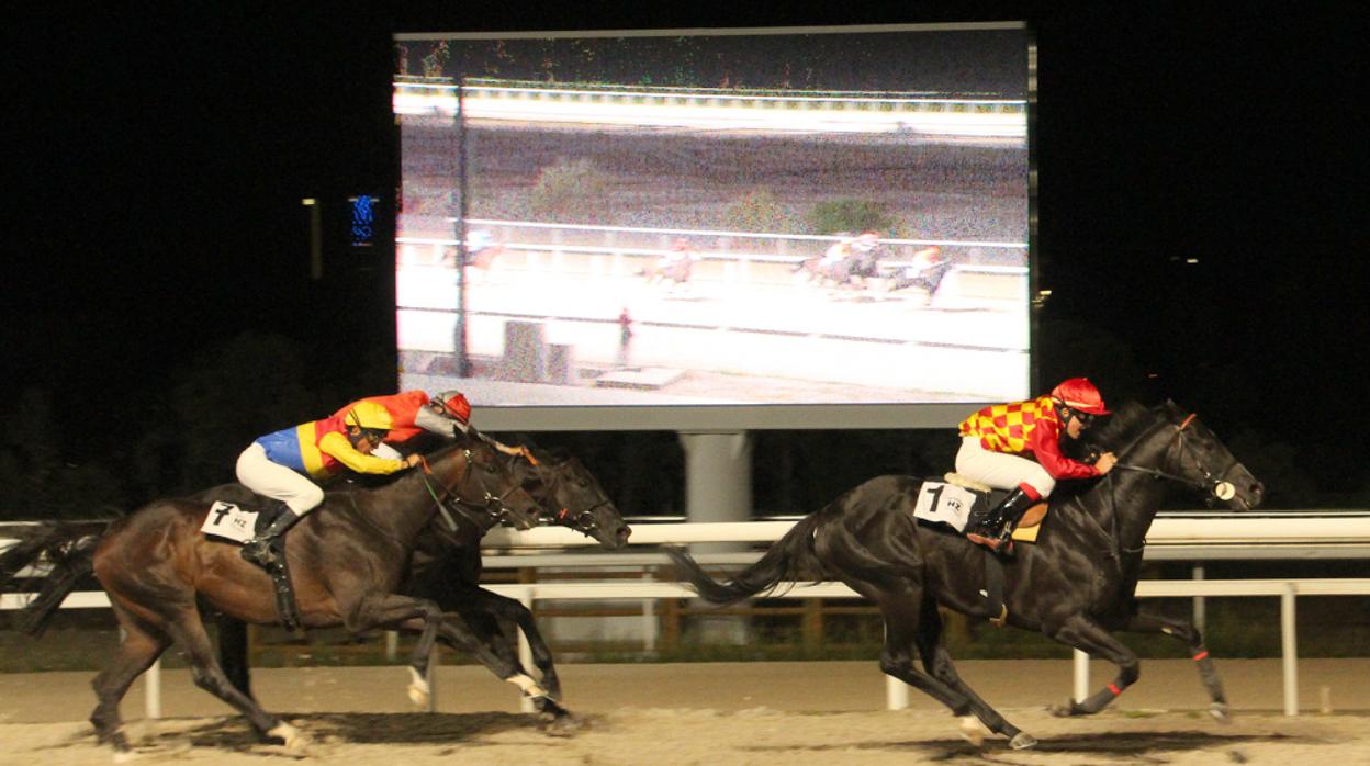 Carreras de caballos en el Hipódromo de la Zarzuela