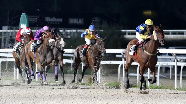 'Laundécima', 'Canella' y 'Qum Ram', vencedores en la noche del hipódromo de la Zarzuela