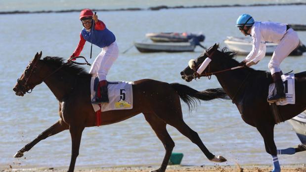 Trece pruebas para cerrar las carreras de caballos de Sanlúcar