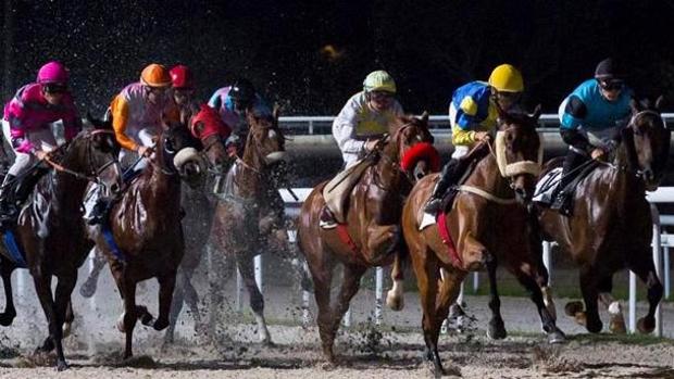 Sigue en directo las carreras nocturnas en el Hipódromo de la Zarzuela