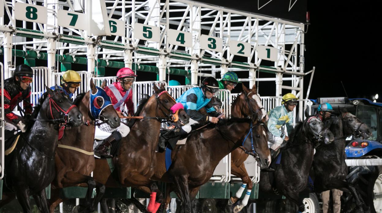 Última jornada nocturna en el Hipódromo de la Zarzuela