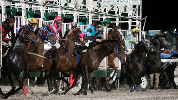 Sigue en directo las carreras nocturnas en el Hipódromo de la Zarzuela