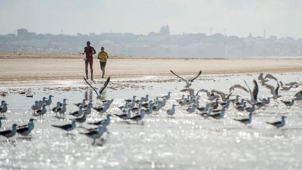 Doñana, un desafío para más de 500 triatletas