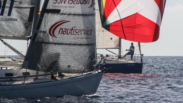 «Bachibuzuk» y «January Sails», campeones de Baleares de RI