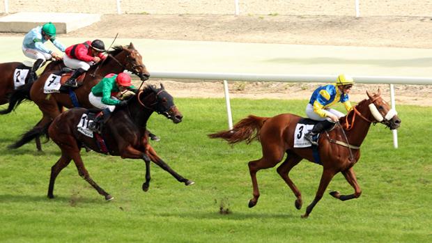 Hipodamo de Mileto, a lo campeón, vence en el Memorial