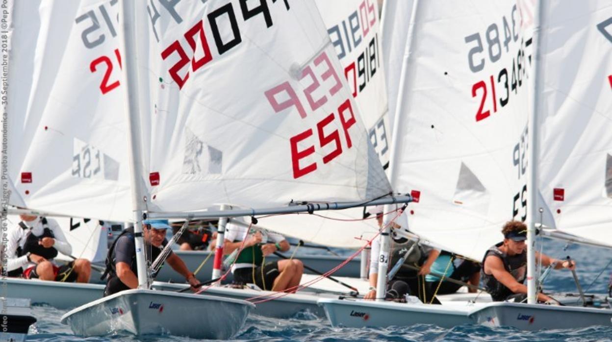 Cerca de 80 barcos en el Campeonato Valenciano de Laser en Torrevieja